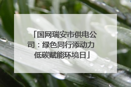 国网瑞安市供电公司：绿色同行添动力 低碳赋能环境日