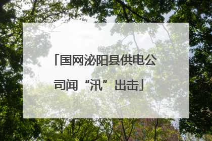 国网泌阳县供电公司闻“汛”出击