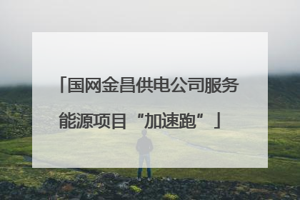 国网金昌供电公司服务能源项目“加速跑”