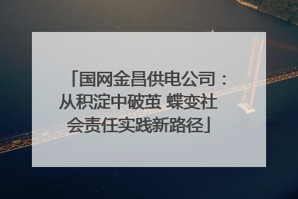 国网金昌供电公司：从积淀中破茧 蝶变社会责任实践新路径
