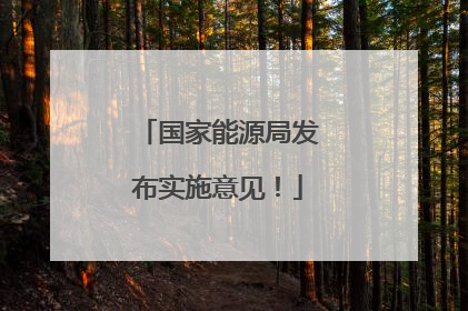 国家能源局发布实施意见！