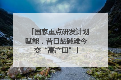 国家重点研发计划赋能，昔日盐碱滩今变“高产田”