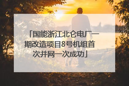 国能浙江北仑电厂一期改造项目8号机组首次并网一次成功