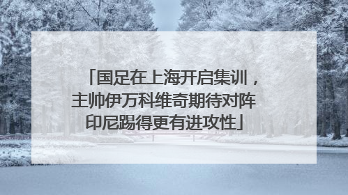 国足在上海开启集训，主帅伊万科维奇期待对阵印尼踢得更有进攻性