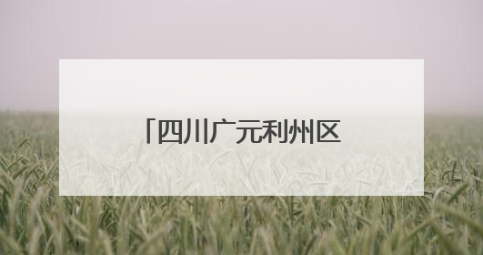 四川广元利州区：无人机“上岗” 助力项目建设跑出“加速度”
