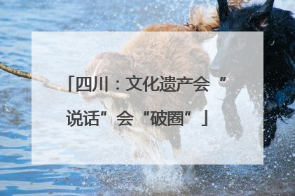 四川：文化遗产会“说话”会“破圈”