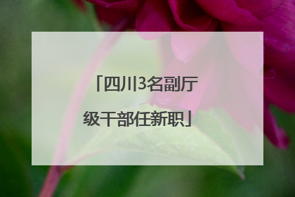 四川3名副厅级干部任新职