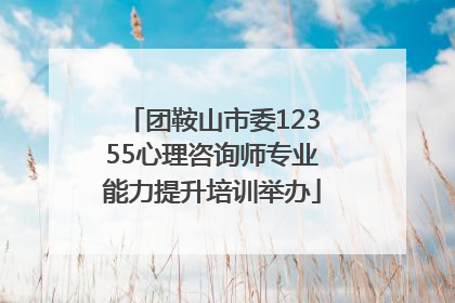 团鞍山市委12355心理咨询师专业能力提升培训举办