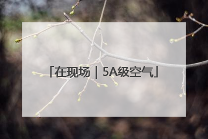 在现场｜5A级空气