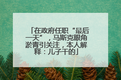 在政府任职“最后一天”，马斯克眼角淤青引关注，本人解释：儿子干的