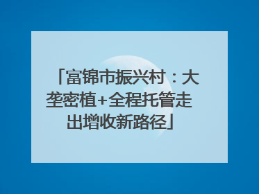 富锦市振兴村：大垄密植+全程托管走出增收新路径
