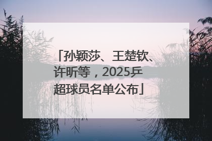 孙颖莎、王楚钦、许昕等，2025乒超球员名单公布