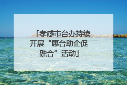 孝感市台办持续开展“惠台助企促融合”活动
