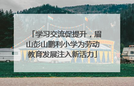 学习交流促提升，眉山彭山鹏利小学为劳动教育发展注入新活力