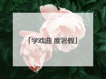 学戏曲 度暑假