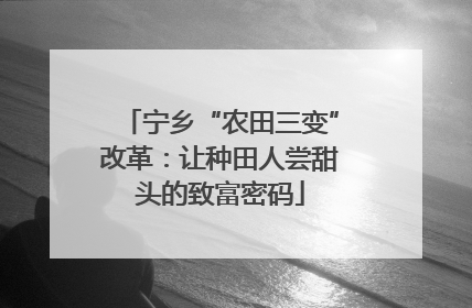 宁乡“农田三变”改革：让种田人尝甜头的致富密码