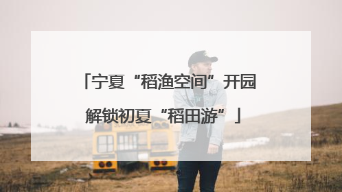 宁夏“稻渔空间”开园 解锁初夏“稻田游”
