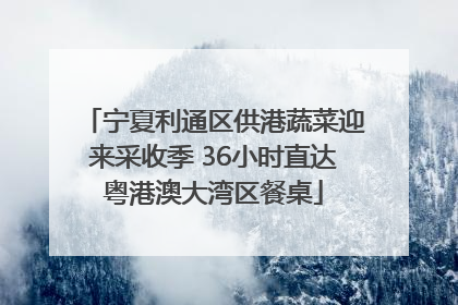 宁夏利通区供港蔬菜迎来采收季 36小时直达粤港澳大湾区餐桌