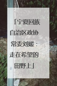 宁夏回族自治区政协常委刘媛：走在希望的田野上