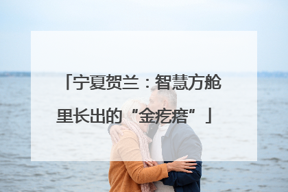 宁夏贺兰：智慧方舱里长出的“金疙瘩”