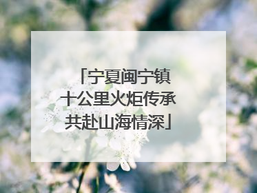 宁夏闽宁镇 十公里火炬传承共赴山海情深