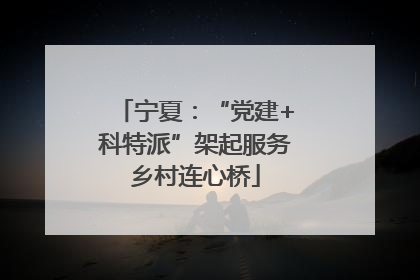 宁夏：“党建+科特派”架起服务乡村连心桥