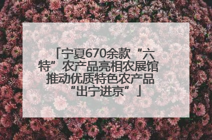 宁夏670余款“六特”农产品亮相农展馆 推动优质特色农产品“出宁进京”