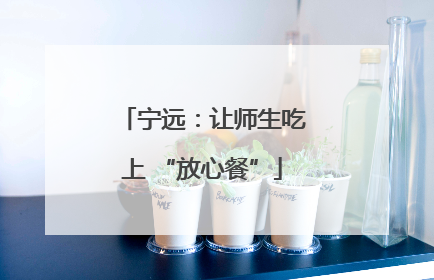 宁远：让师生吃上 “放心餐”