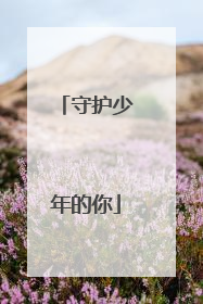 守护少年的你