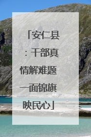 安仁县：干部真情解难题一面锦旗映民心