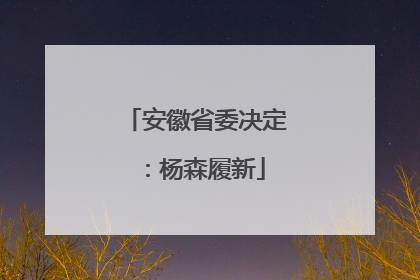 安徽省委决定：杨森履新