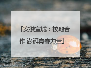 安徽宣城：校地合作 澎湃青春力量