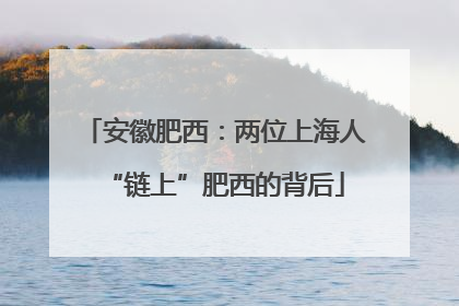 安徽肥西：两位上海人“链上”肥西的背后