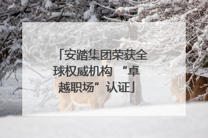 安踏集团荣获全球权威机构 “卓越职场”认证