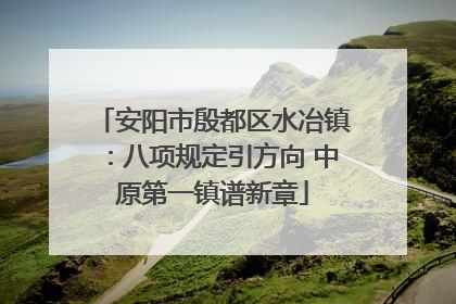 安阳市殷都区水冶镇：八项规定引方向 中原第一镇谱新章