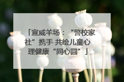 宣威羊场：“警校家社”携手 共绘儿童心理健康“同心圆”
