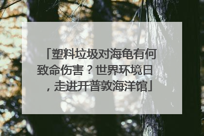 塑料垃圾对海龟有何致命伤害？世界环境日，走进开普敦海洋馆