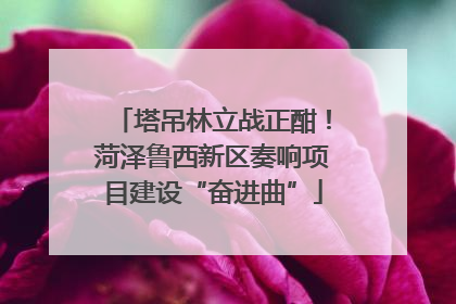 塔吊林立战正酣！菏泽鲁西新区奏响项目建设“奋进曲”