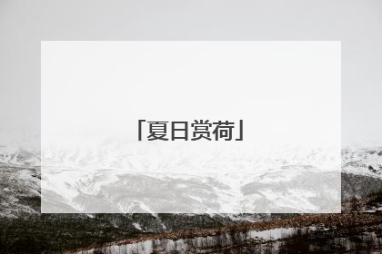 夏日赏荷