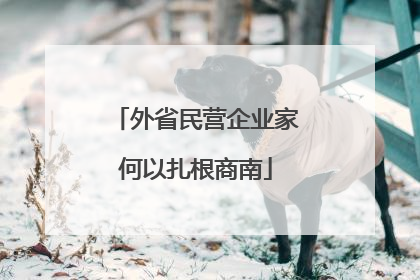 外省民营企业家何以扎根商南