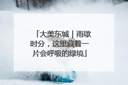 大美东城｜雨歇时分，这里藏着一片会呼吸的绿境