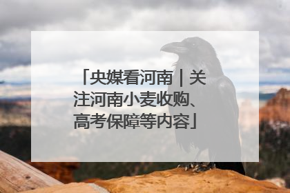 央媒看河南｜关注河南小麦收购、高考保障等内容