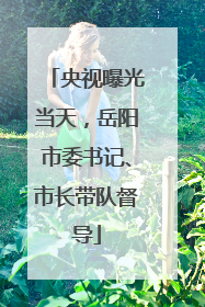 央视曝光当天，岳阳市委书记、市长带队督导