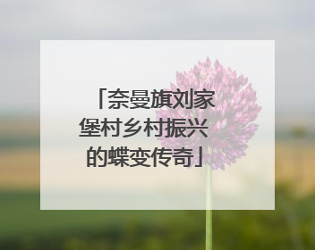 奈曼旗刘家堡村乡村振兴的蝶变传奇