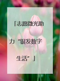 志愿微光助力“银发数字生活”