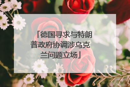 德国寻求与特朗普政府协调涉乌克兰问题立场