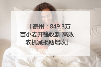 德州：849.3万亩小麦开镰收割 高效农机减损助增收