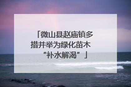 微山县赵庙镇多措并举为绿化苗木“补水解渴”