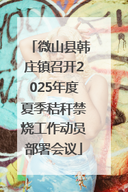 微山县韩庄镇召开2025年度夏季秸秆禁烧工作动员部署会议