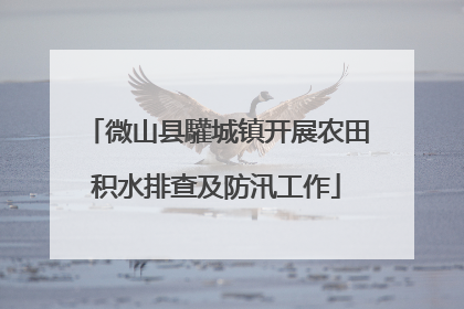 微山县驩城镇开展农田积水排查及防汛工作